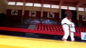 judo thumbnail