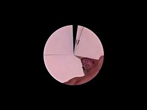 Watch from 0:06:31