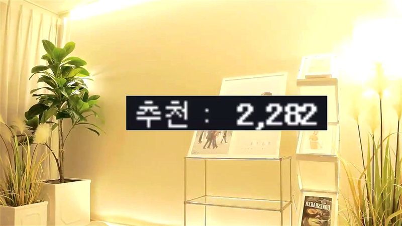 한국베이지 한국베이지
