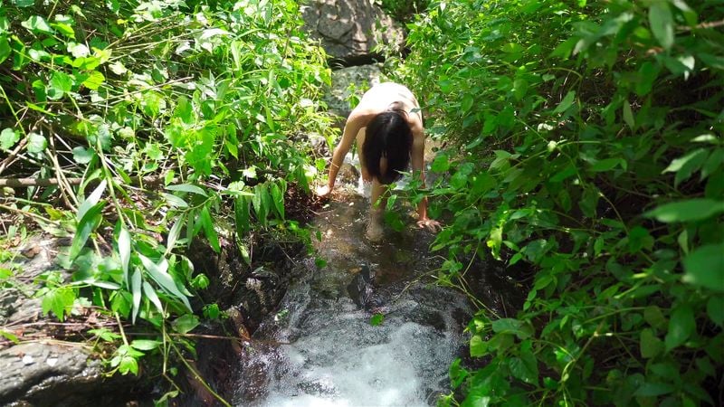 Wilderness Crossing Water Forest Wilderness Crossing Water Forest