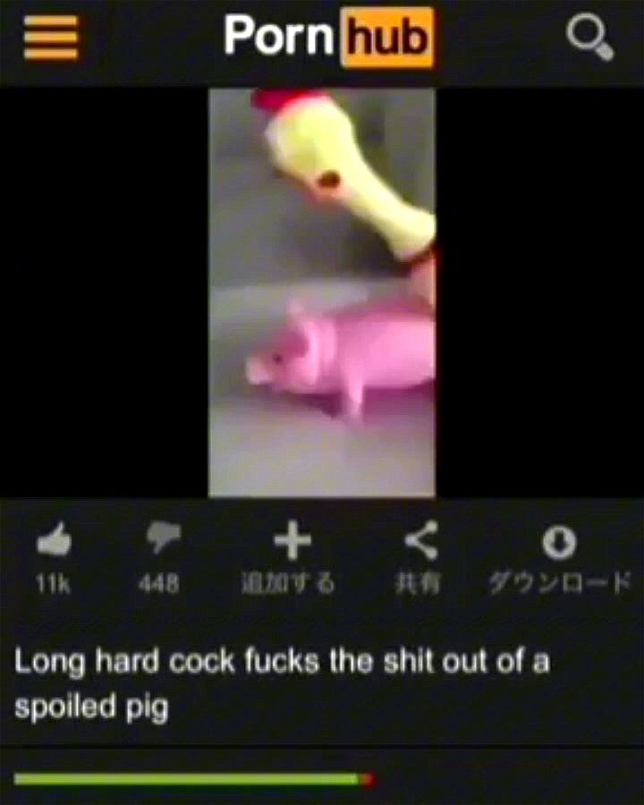 Long hard cock fucks the shit out of a spoiled pig