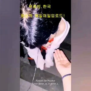 Watch from 0:00:39