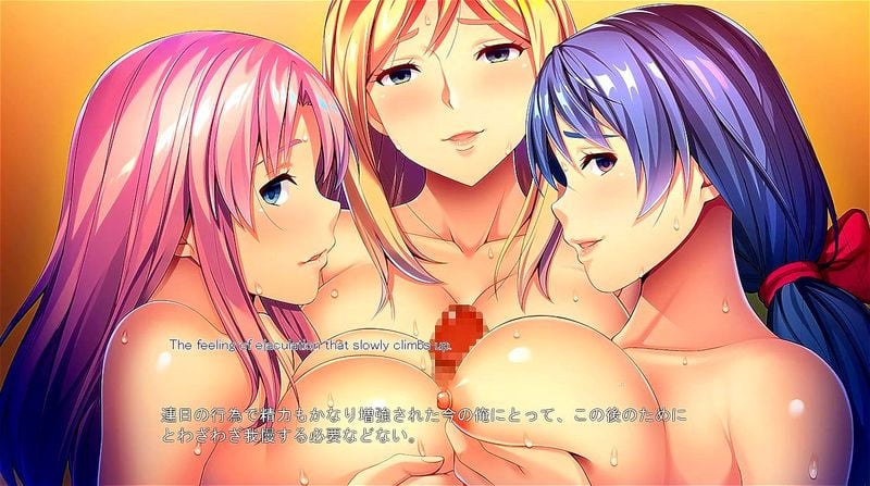 Harem 3 - Saimin Gyakushuu ~Douzo Watashi-tachi o Suki ni Shite Kudasai~