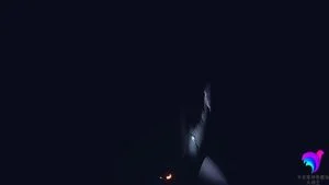 Watch from 0:00:31
