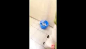 Watch from 0:16:39