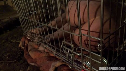 Chelsy Sun porn video – Horror Porn 3: The girl in the cage