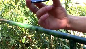 Watch from 0:01:35