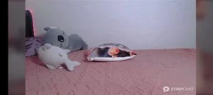 Watch from 0:07:29