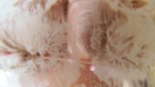 Image Video porn video – 1400