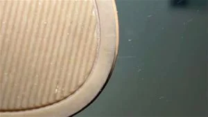 Watch from 0:02:05