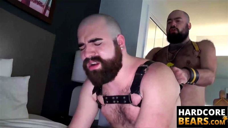 HardcoreBears.com - Big long and strong cock Jean Paul fucking intensely with Bearsilien HardcoreBears.com - Big long and strong cock Jean Paul fucking intensely with Bearsilien