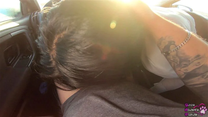 A colleague sucks me off during a business trip A colleague sucks me off during a business trip