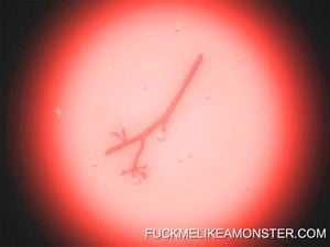 Ab 0:00:32 ansehen