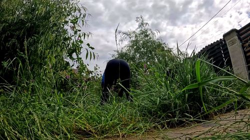 Milfycalla porn video – Waiting for a handsome gardener with a big c...:)