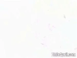 Watch from 0:04:23