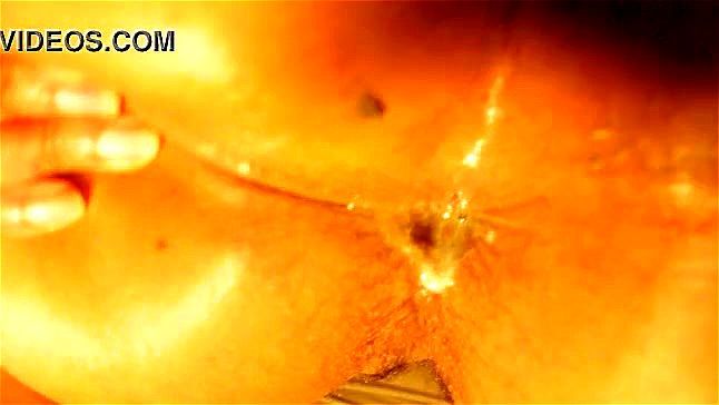 anal queen creampie compilation anal queen creampie compilation