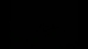 Ab 0:04:56 ansehen