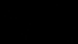 Ab 0:04:07 ansehen