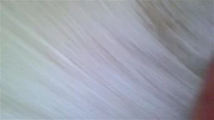Watch from 0:03:44