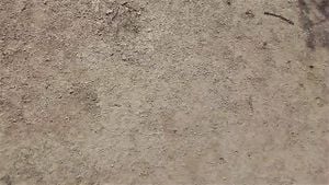 Watch from 0:04:11