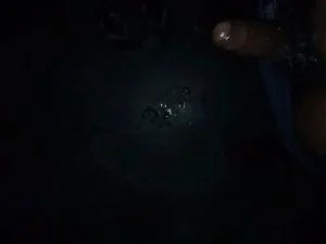 Watch from 0:07:41