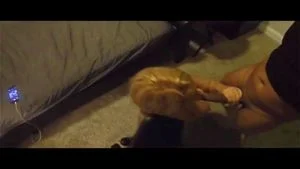 Watch from 0:02:31