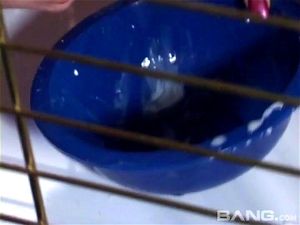 Watch from 0:09:47