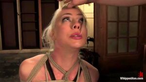 Bdsm thumbnail