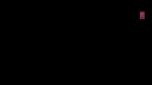 Ab 0:01:35 ansehen