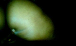 Watch from 0:02:32