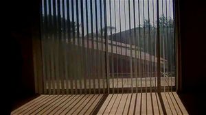 Watch from 0:00:23