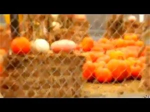 Watch from 0:04:04