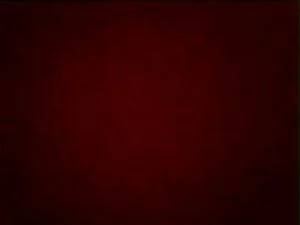 Watch from 0:17:15