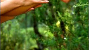 Melisa Mendiny thumbnail