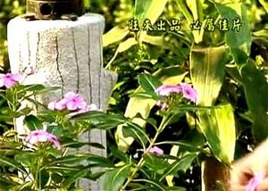 Thai model sss thumbnail