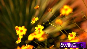 Ab 0:04:32 ansehen