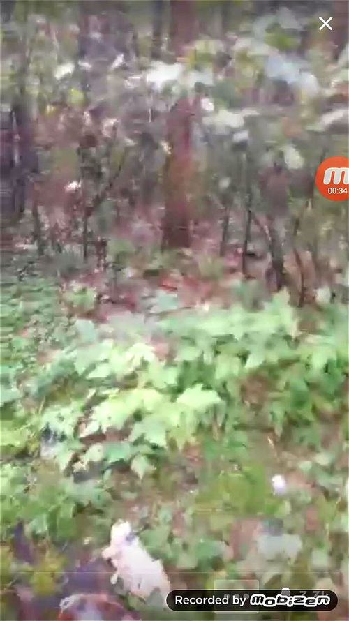 Periscope perfect natural russian outside