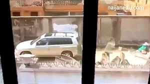 Watch from 0:00:13