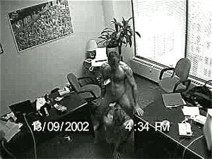 Banging the temp Kaily (security camera)