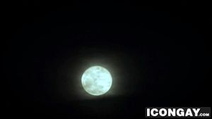 Watch from 0:00:38