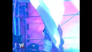 WWE Divas kleine afbeelding