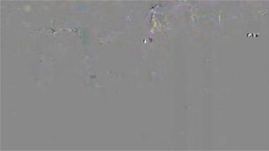 Ab 0:07:02 ansehen