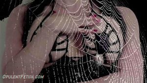 Opulent thumbnail