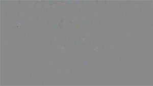 Ab 0:02:47 ansehen