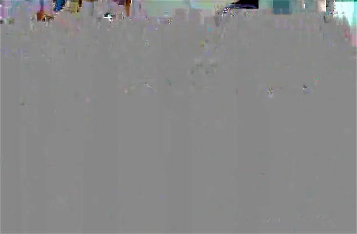 Amateur brazilian babe blowjob pov Amateur brazilian babe blowjob pov