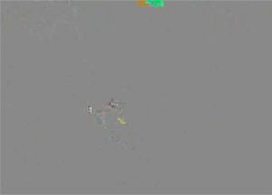 Ab 0:01:35 ansehen
