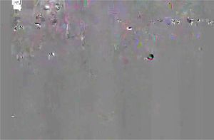 0:00:19から視聴