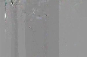 0:01:39から視聴