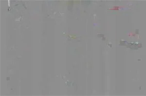 0:01:59から視聴