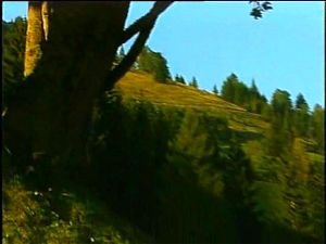 Ab 0:14:41 ansehen